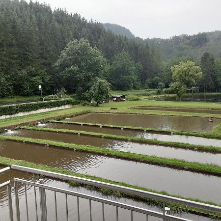 Zimmer Ohne Fruehstueck In Der Forellenzucht Burgen (Mayen-Koblenz) Exterior foto