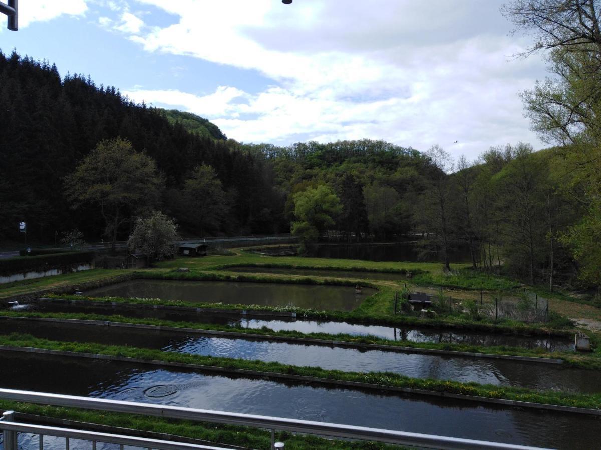 Zimmer Ohne Fruehstueck In Der Forellenzucht Burgen (Mayen-Koblenz) Exterior foto