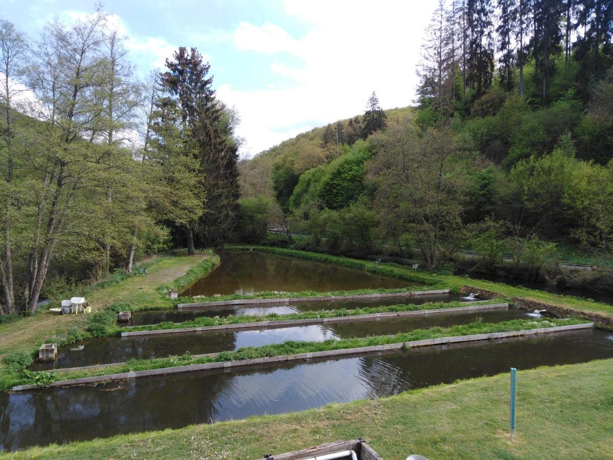 Zimmer Ohne Fruehstueck In Der Forellenzucht Burgen (Mayen-Koblenz) Exterior foto