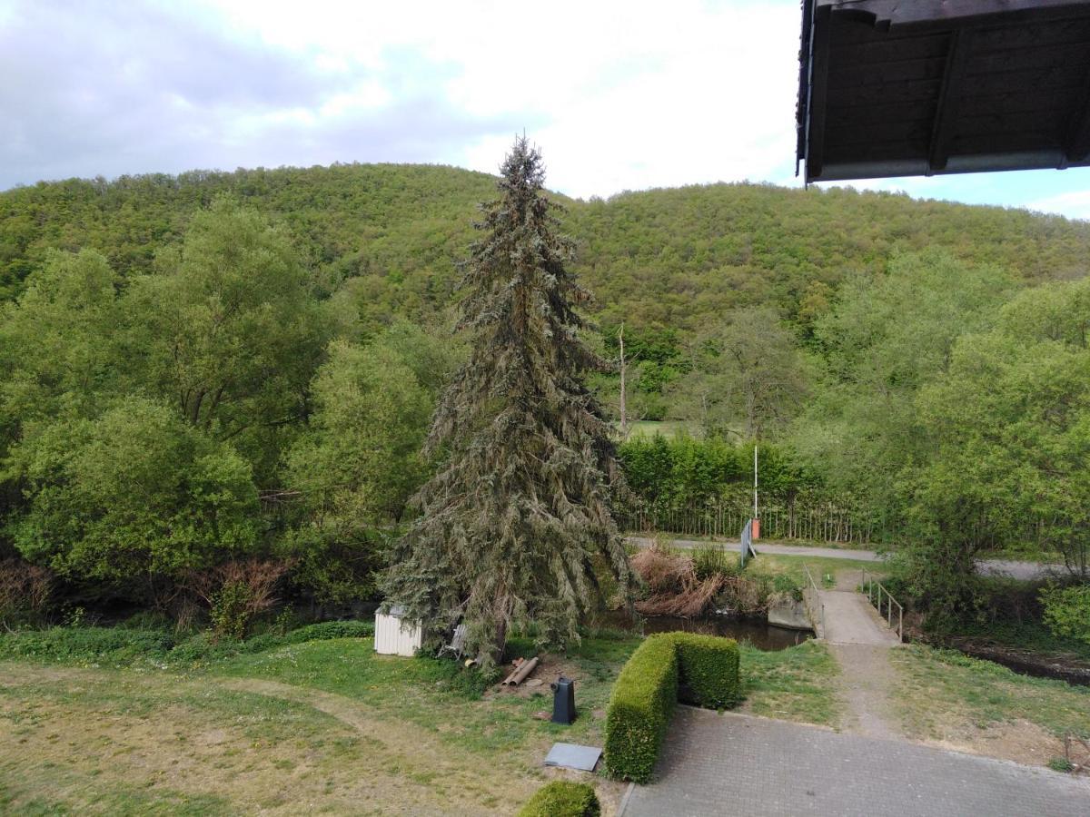 Zimmer Ohne Fruehstueck In Der Forellenzucht Burgen (Mayen-Koblenz) Exterior foto
