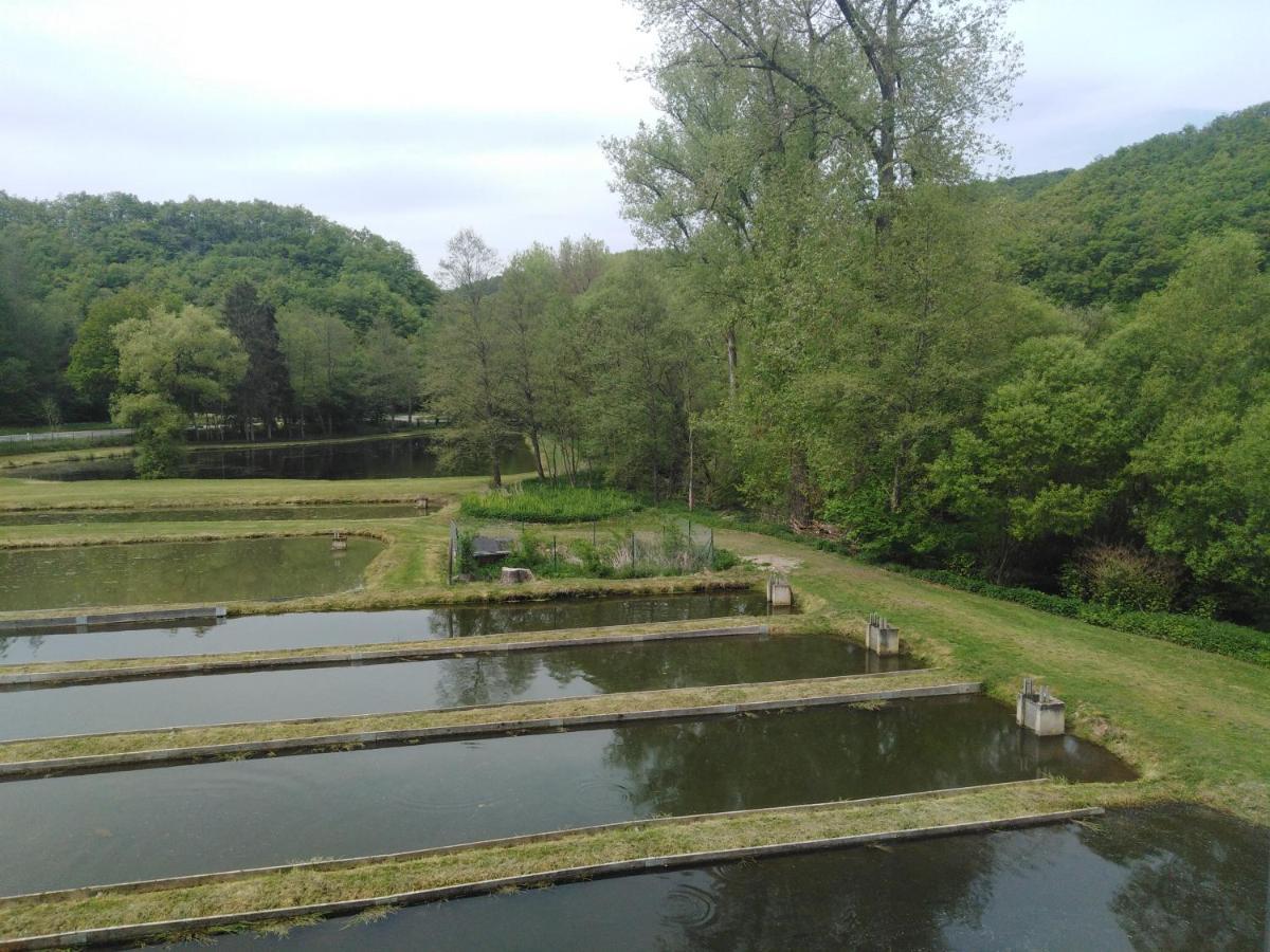 Zimmer Ohne Fruehstueck In Der Forellenzucht Burgen (Mayen-Koblenz) Exterior foto