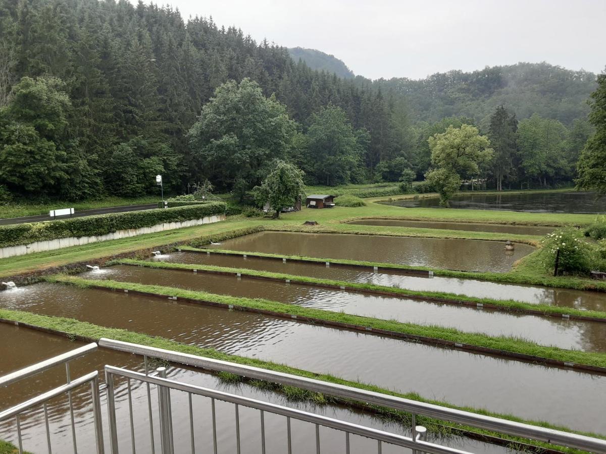 Zimmer Ohne Fruehstueck In Der Forellenzucht Burgen (Mayen-Koblenz) Exterior foto
