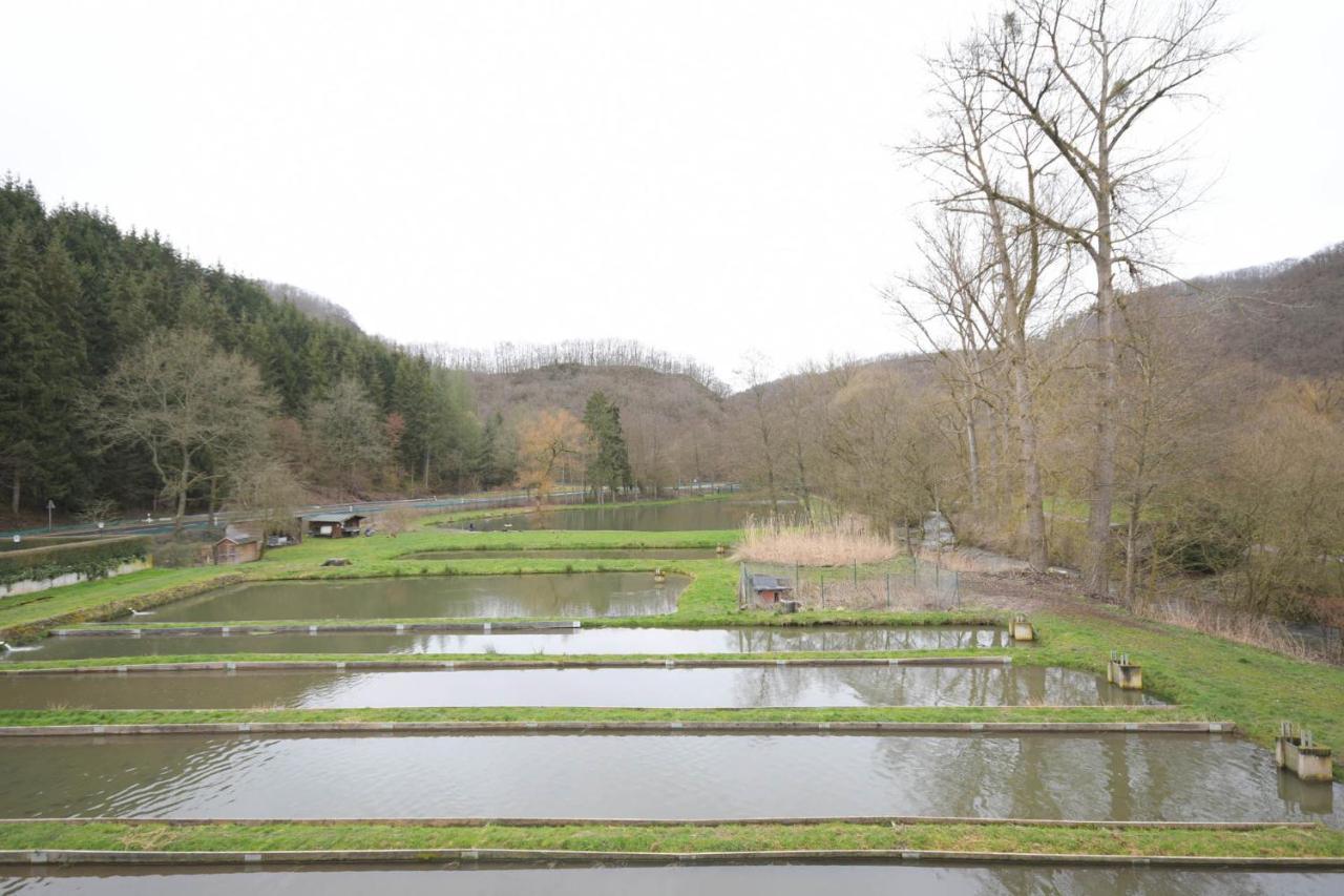 Zimmer Ohne Fruehstueck In Der Forellenzucht Burgen (Mayen-Koblenz) Exterior foto